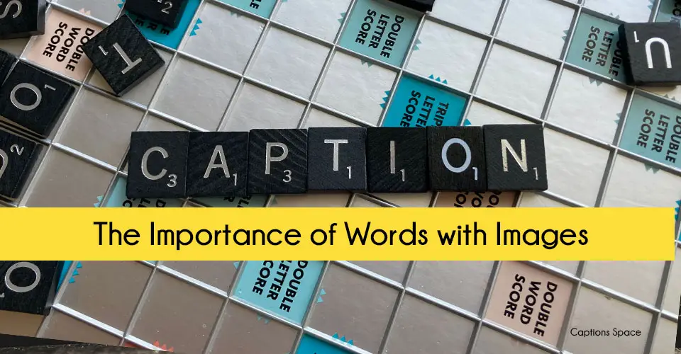 Captions: The Importance of Words with Images